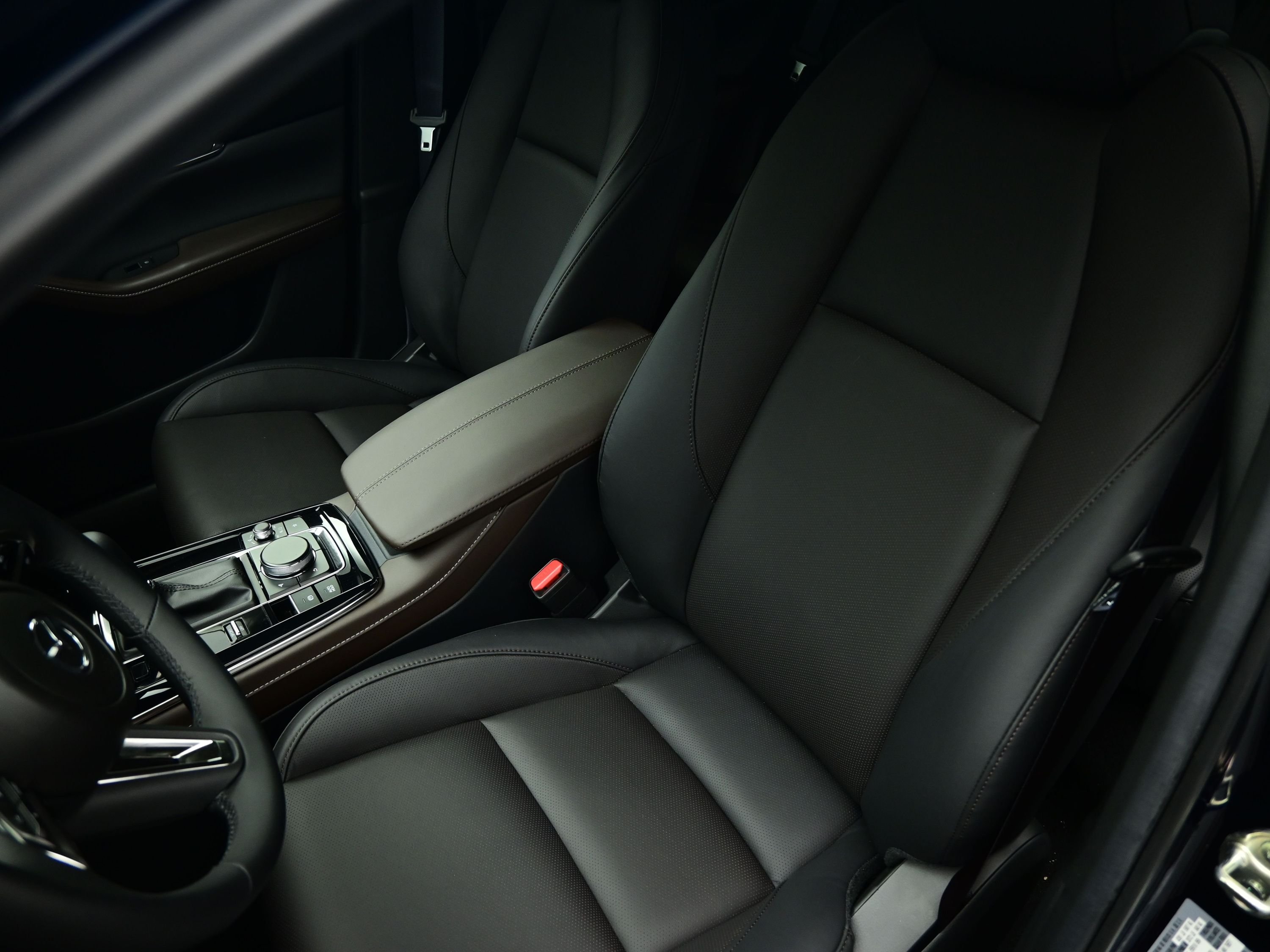 2025 Mazda CX-90 Premium Plus Package - Photo 45