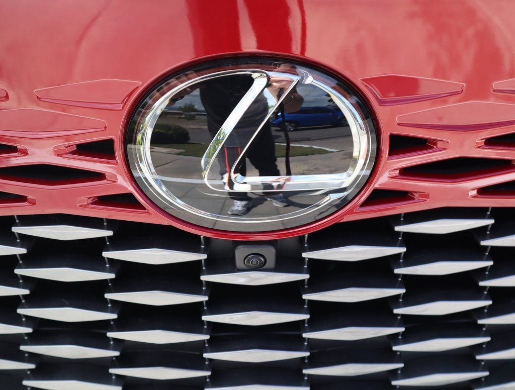 2025 Lexus RX 350 - Photo 13