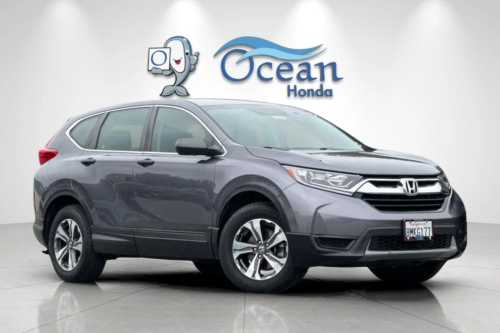 Used 2019 Gray Honda LX image 2