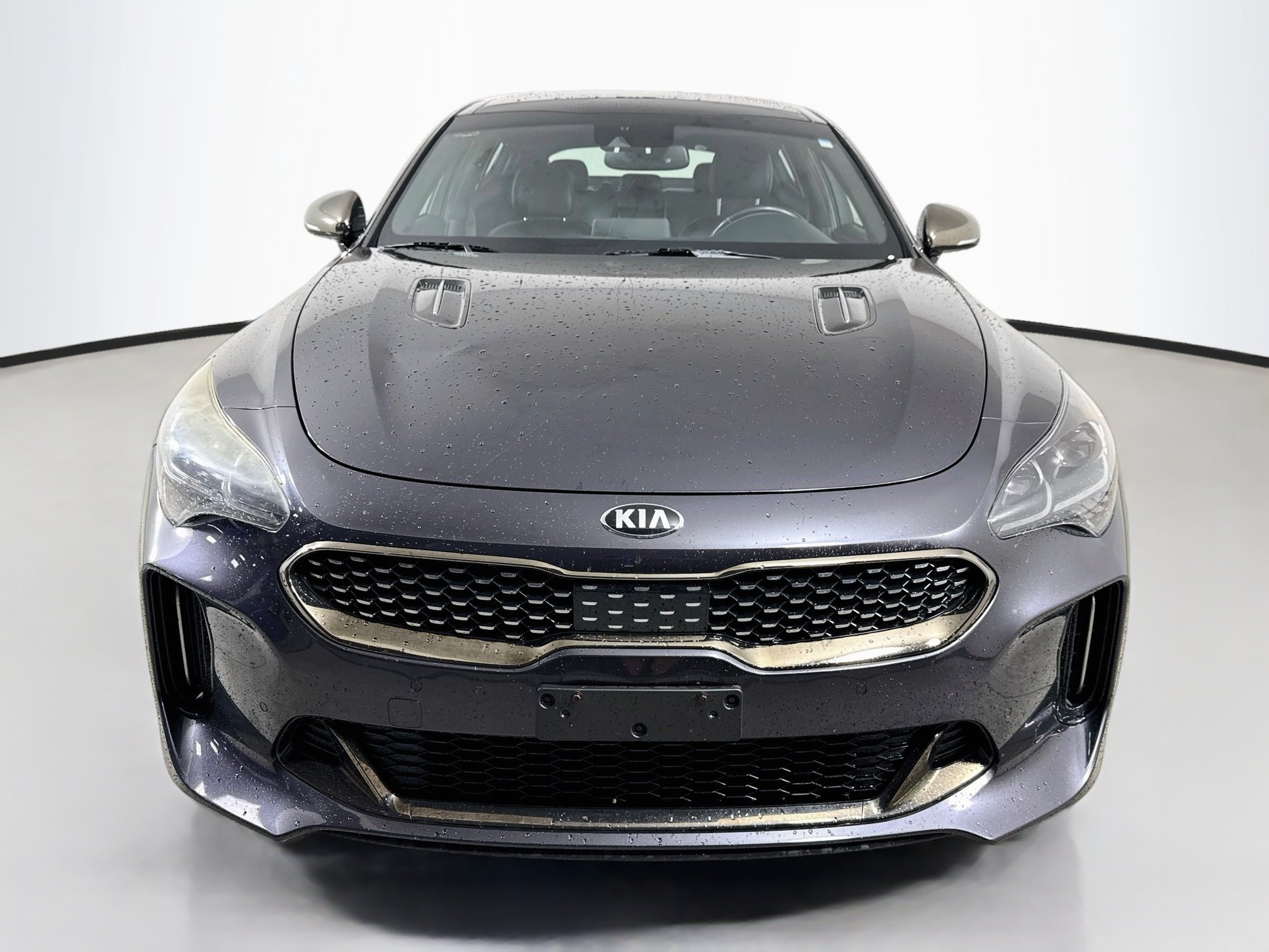 Used 2018 Panthera Metal Kia GT1 image 2