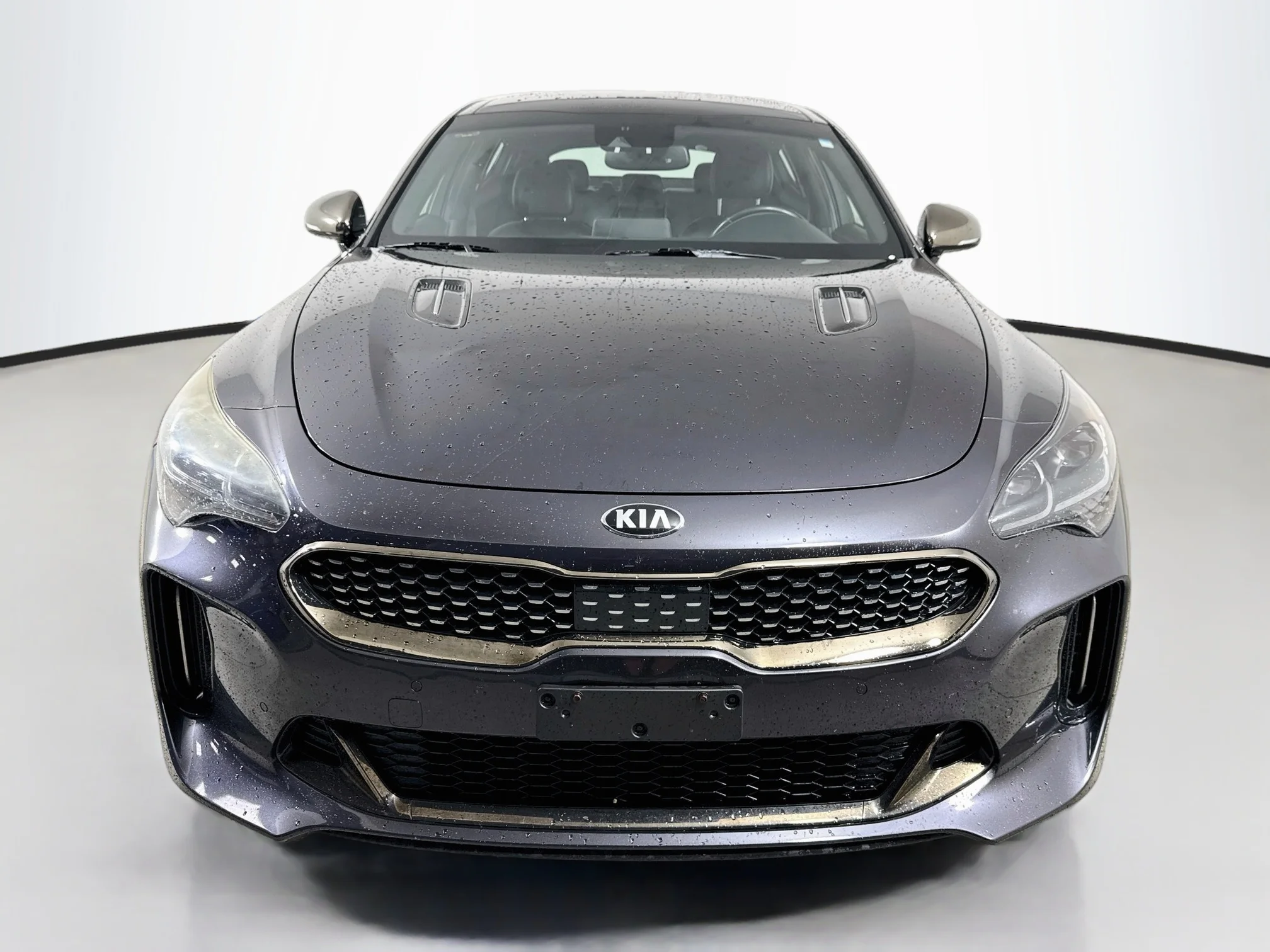 Used 2018 Panthera Metal Kia GT1 image 2