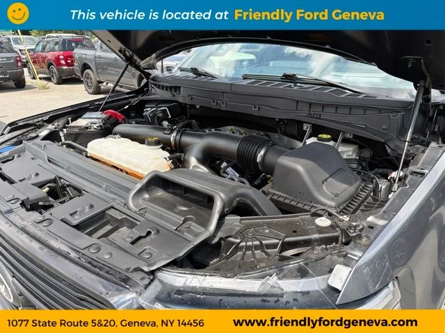 Used 2024 Gray Metallic Ford Platinum image 98