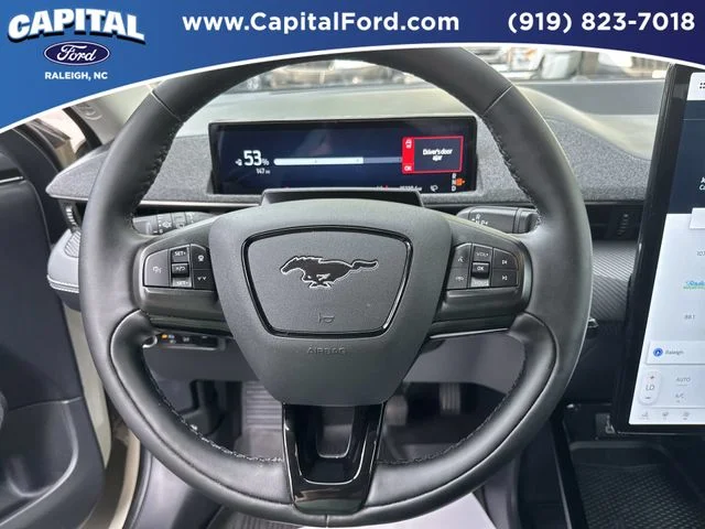 Used 2025 Beige Ford Premium image 24