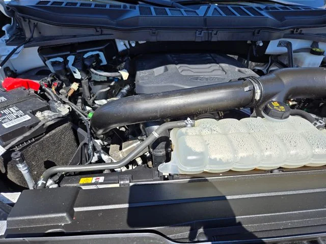 Used 2023 White Ford XLT image 22