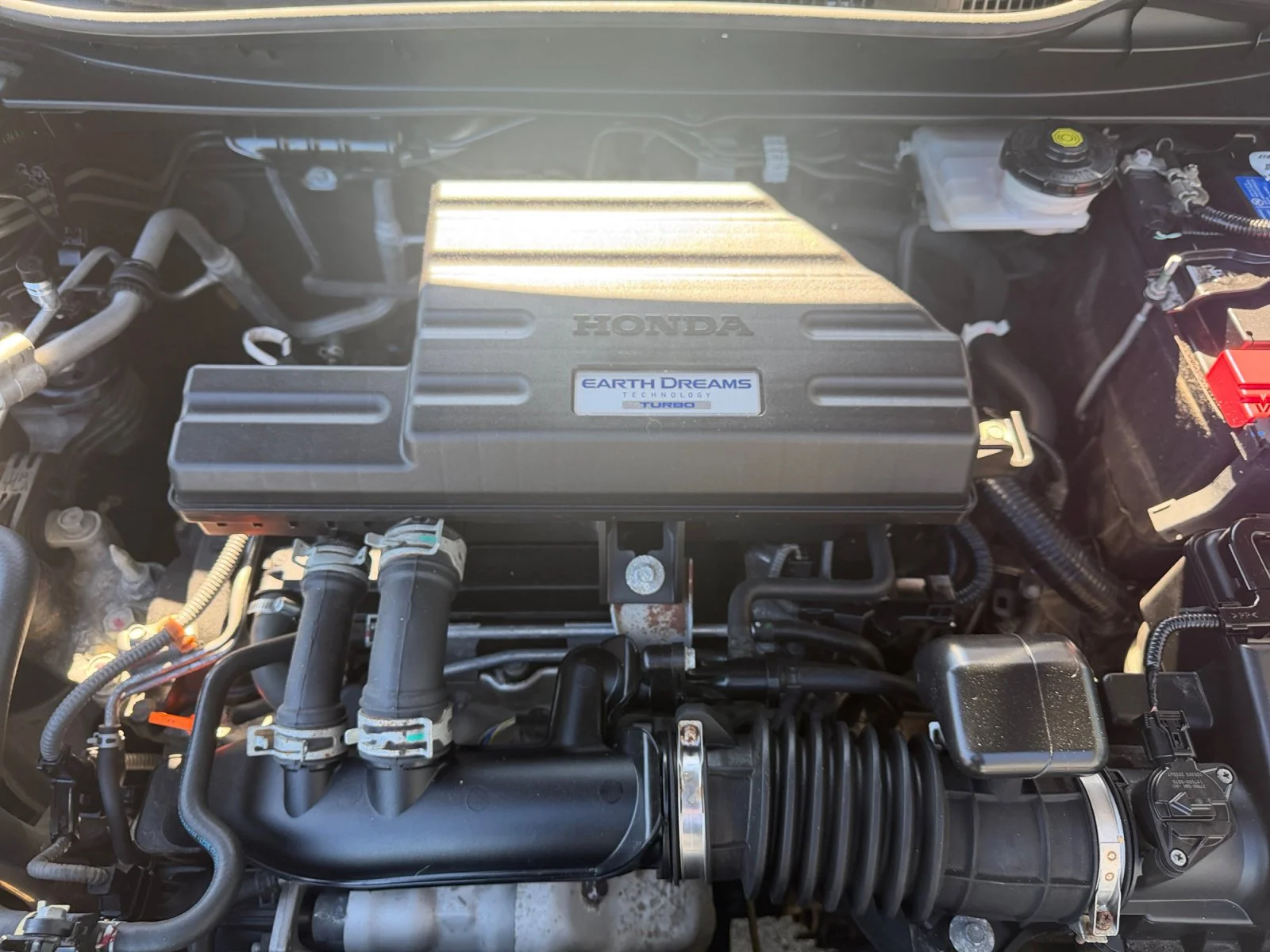 Used 2020 Black Honda EX image 7