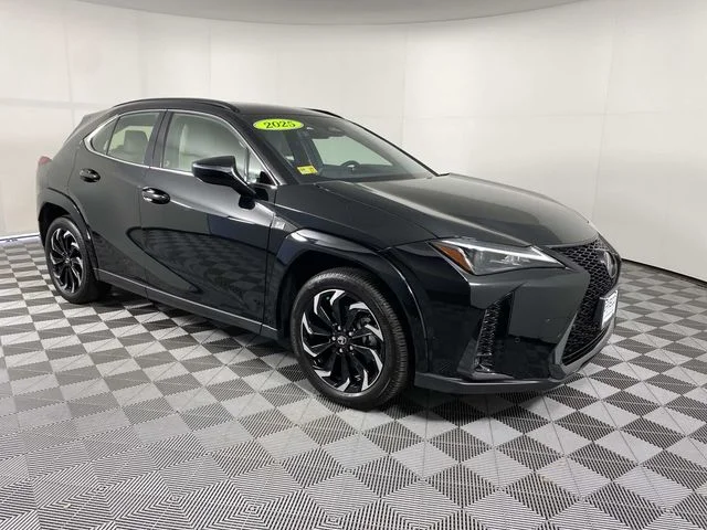 2025 Lexus UX 300h 300h F Sport Design AWD's photo