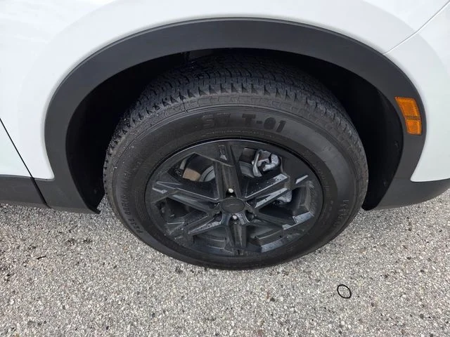 Photo 16