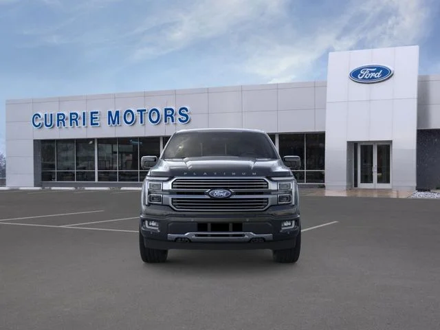 New 2026 Agate Black Metallic Ford Platinum image 6
