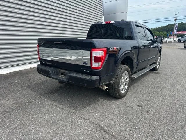 Used 2022 Blue Ford Platinum image 5