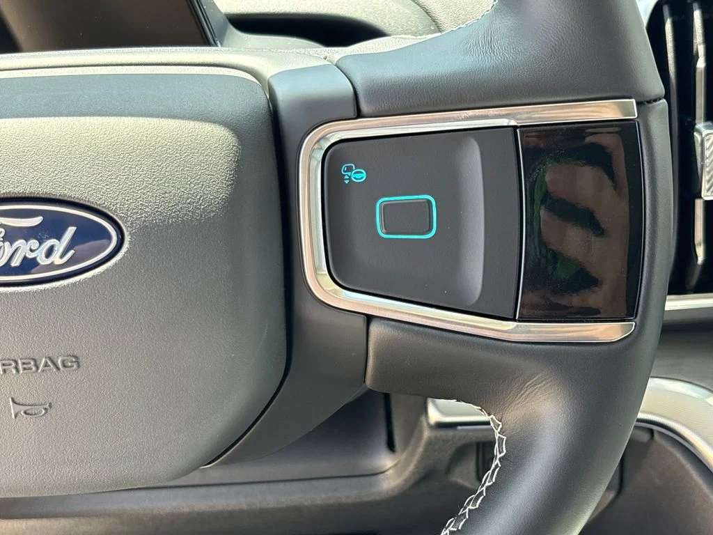 New 2026 Black Ford Platinum image 21