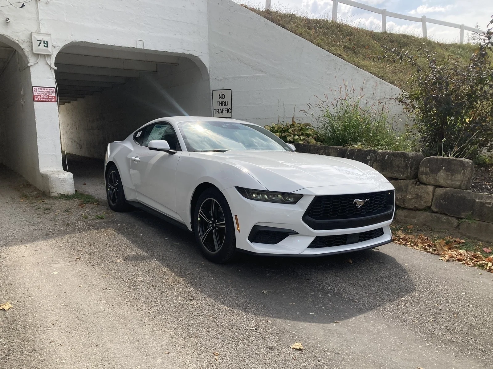 2025 Ford Mustang EcoBoost Premium Fastback - Photo 26