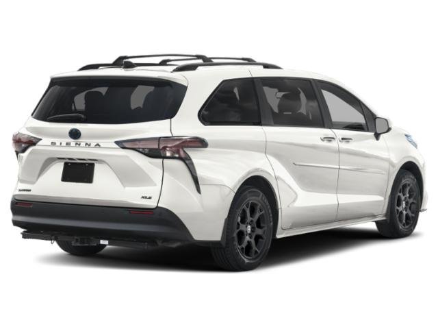 New 2026 Ice Cap Toyota  Woodland Edition image 2