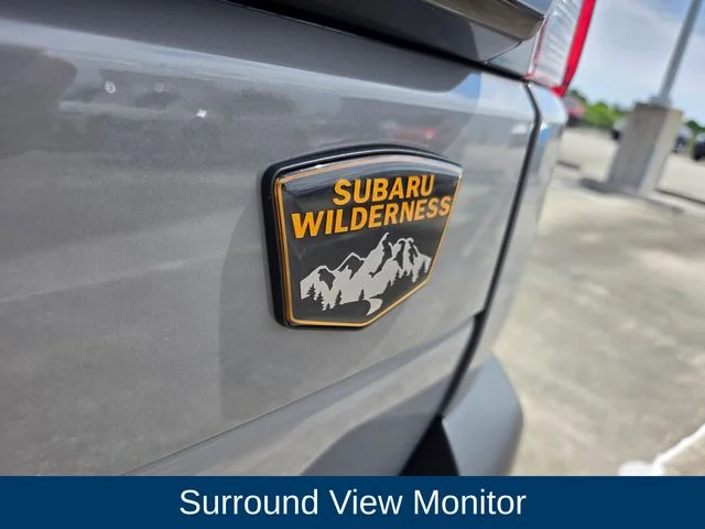 Used 2026 Beige Subaru Wilderness image 15