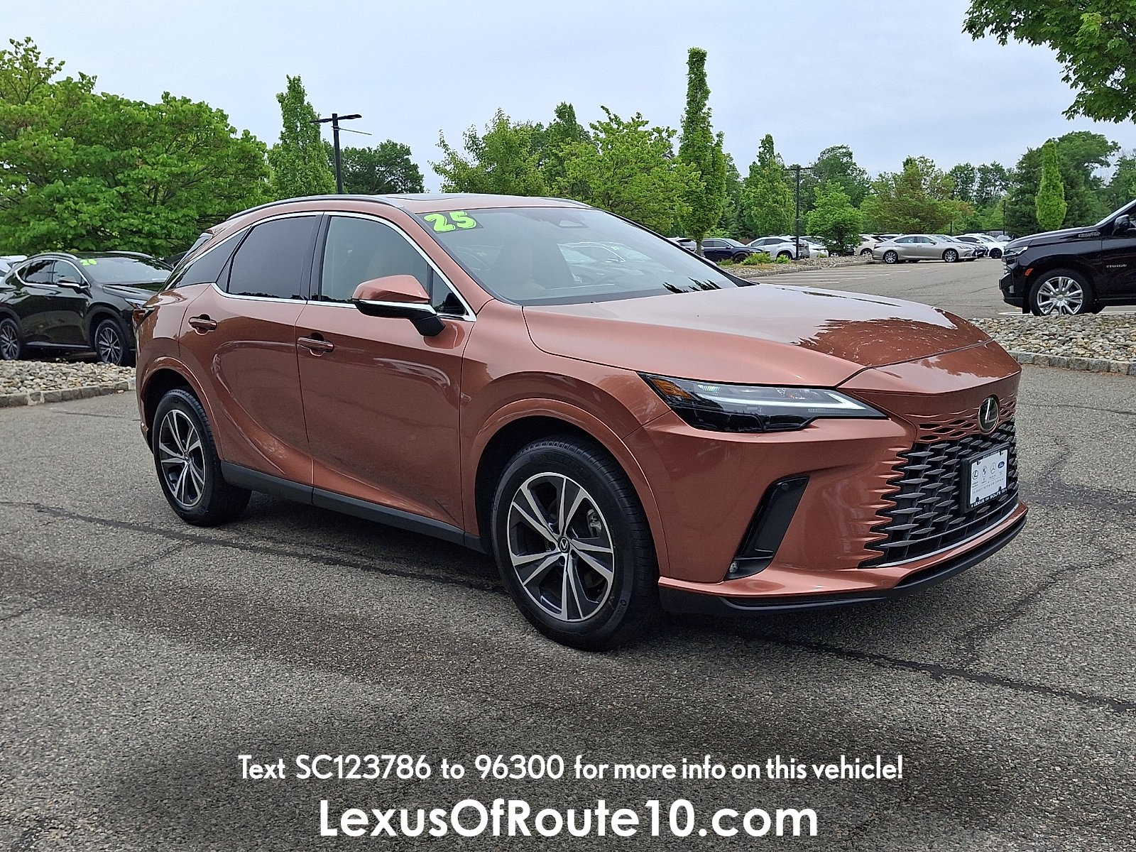 2025 Lexus RX 350 350 Premium AWD's photo