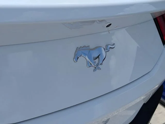 New 2026 White Ford EcoBoost image 10