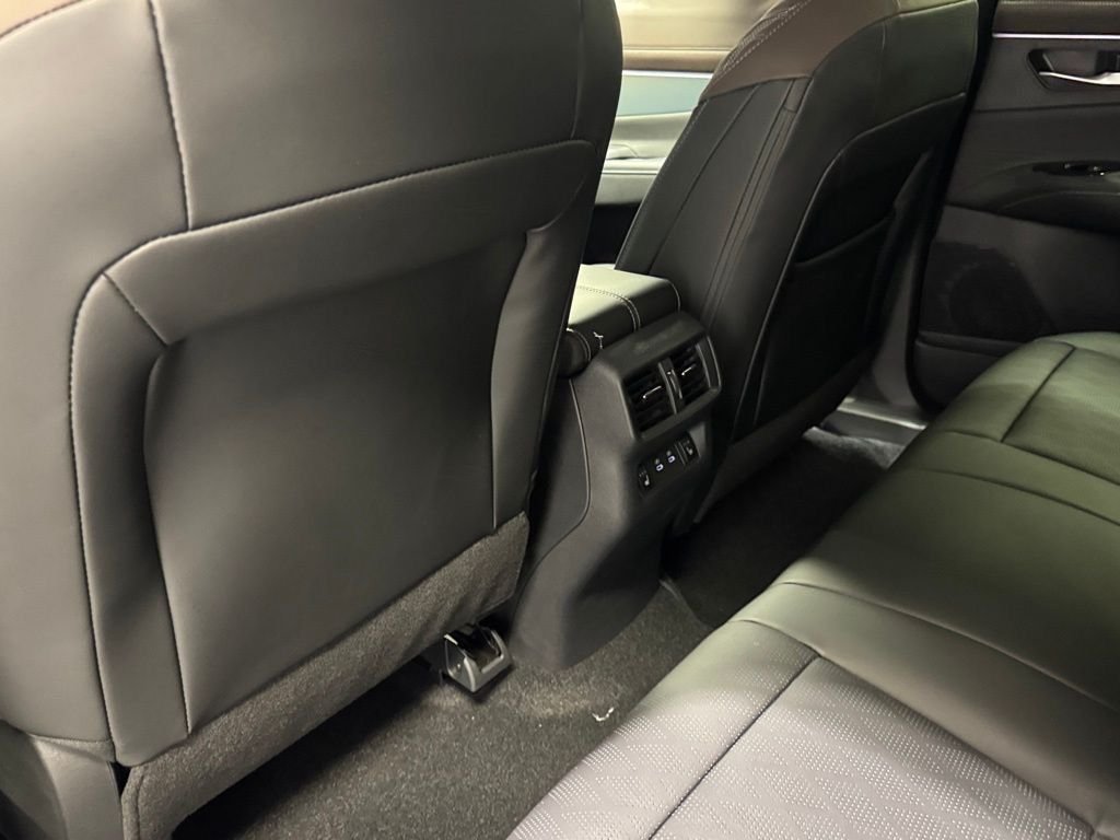 New 2026 Black Nissan Platinum image 21