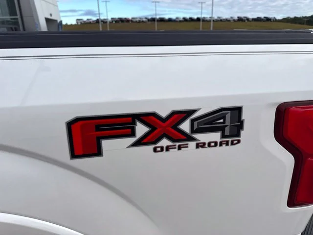 Used 2018 White Ford Platinum image 7
