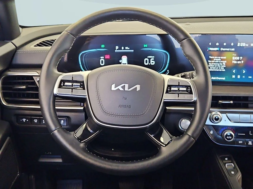 Used 2025 Panthera Metal Kia EX X-Line image 14
