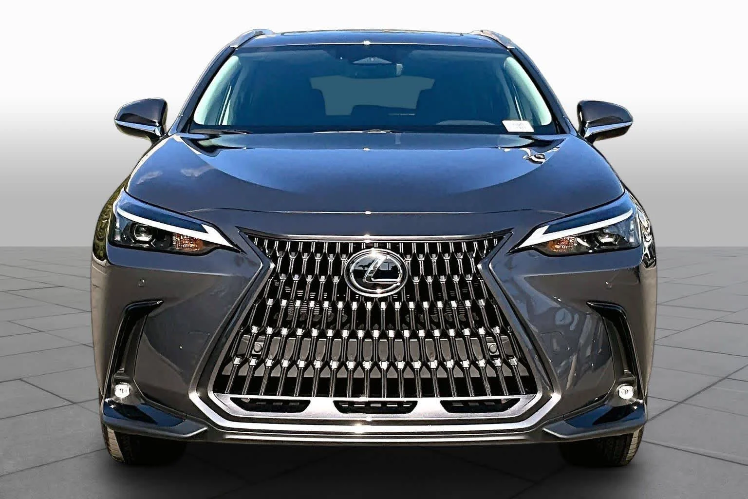 New 2026 Cloudburst Gray Lexus PREMIUM image 3