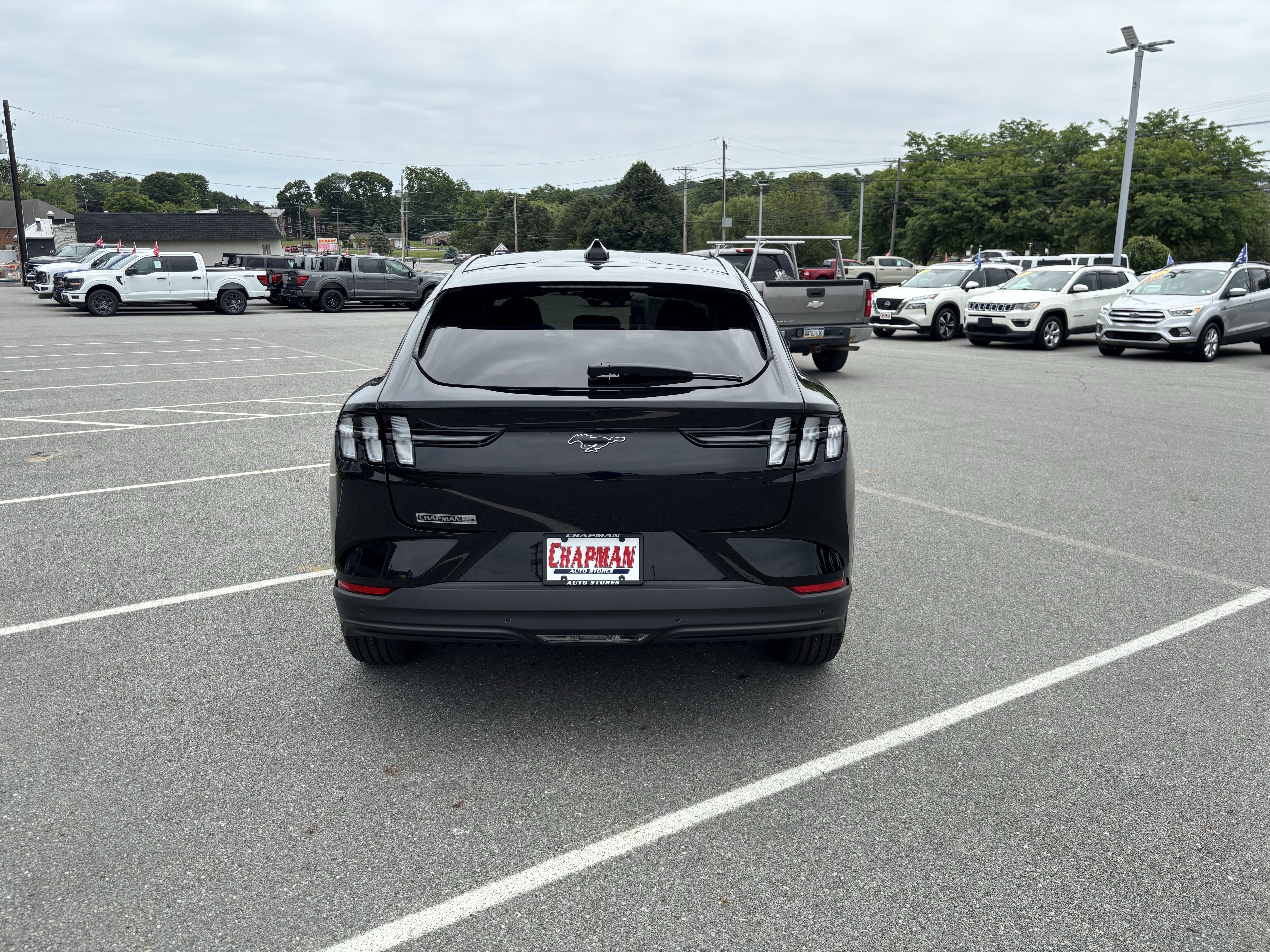 New 2026 Shadow Black Ford Premium image 5