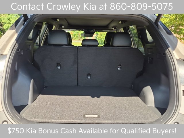 New 2027 Road Rider Brown / Black Roof Kia X-Line image 49