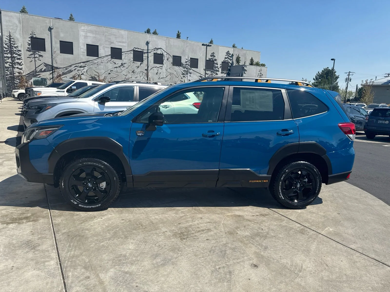 Used 2025 Blue Subaru Wilderness image 2
