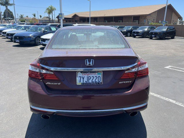 Used 2017 Maroon Honda Sport image 7
