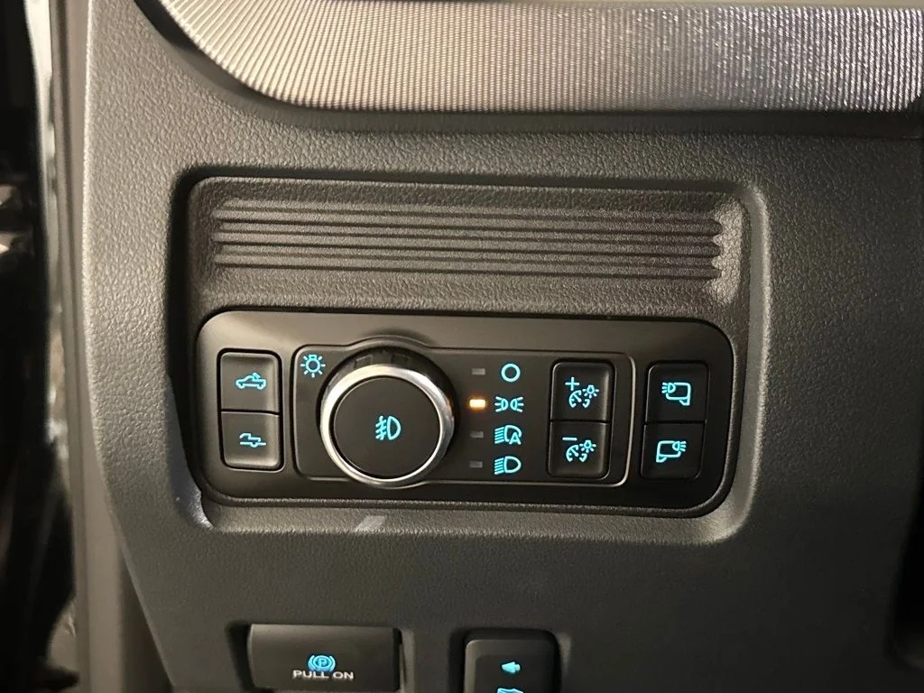 New 2026 Black Ford Platinum image 33