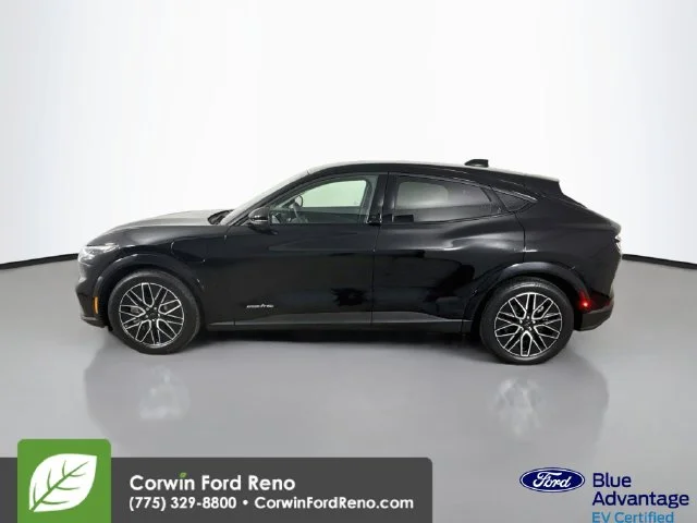 Certified Used 2025 Shadow Black Ford Premium image 4
