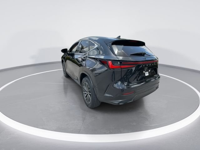 2023 Lexus NX 250 - Photo 6