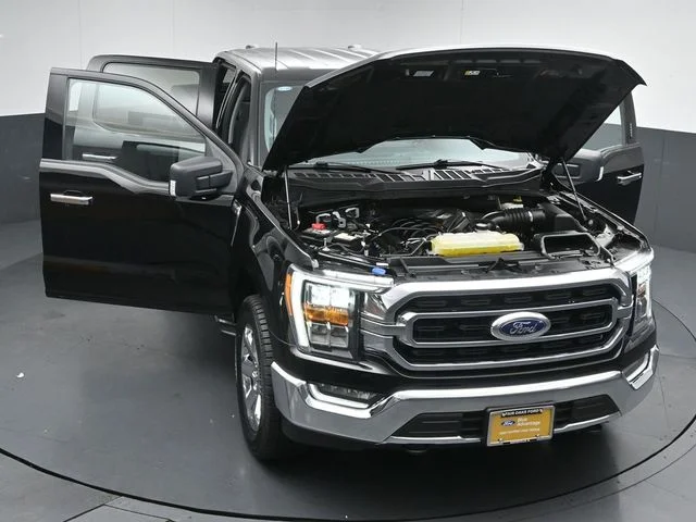 Used 2023 Black Ford XLT image 50