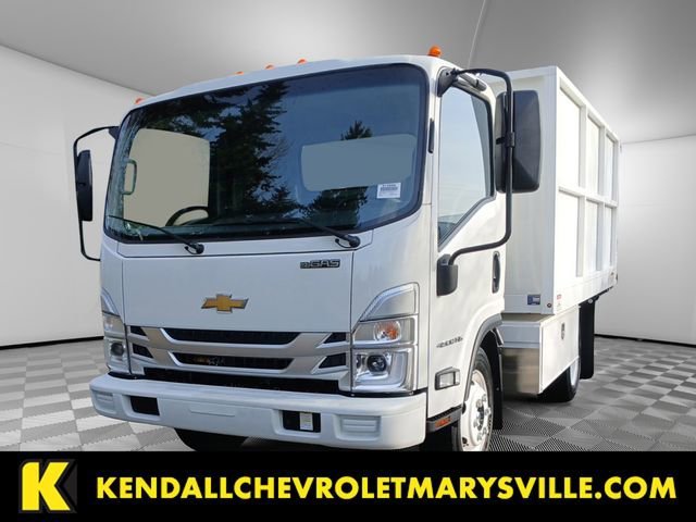 2025 Chevrolet Low Cab Forward 4500 Gas 176" WB Regular Cab's photo