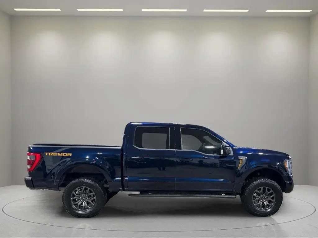 2023 Ford F-150 Tremor - Photo 7