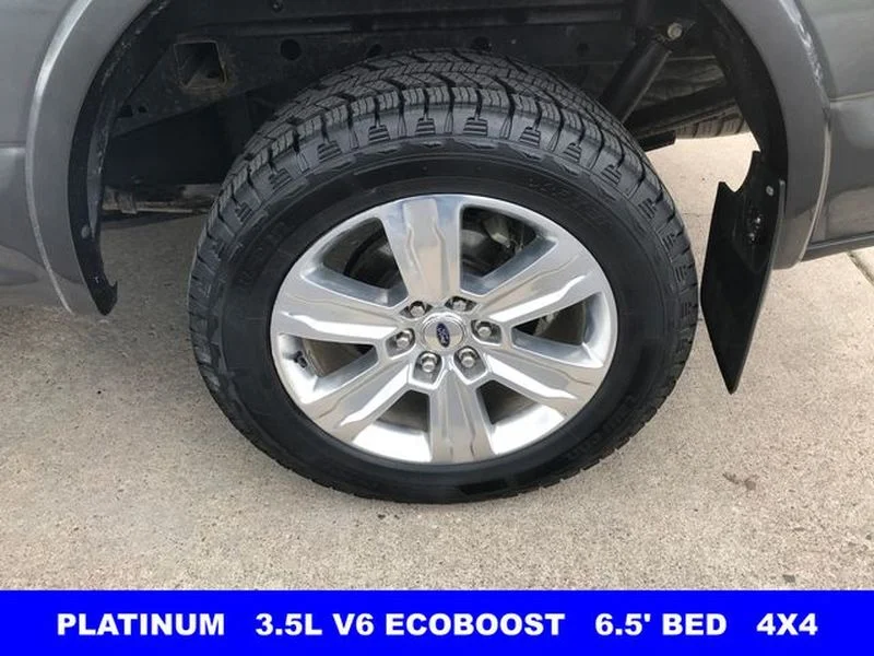 Certified Used 2020 Magnetic Metallic Ford Platinum image 31
