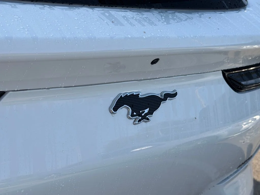 Used 2026 White Ford Premium image 14