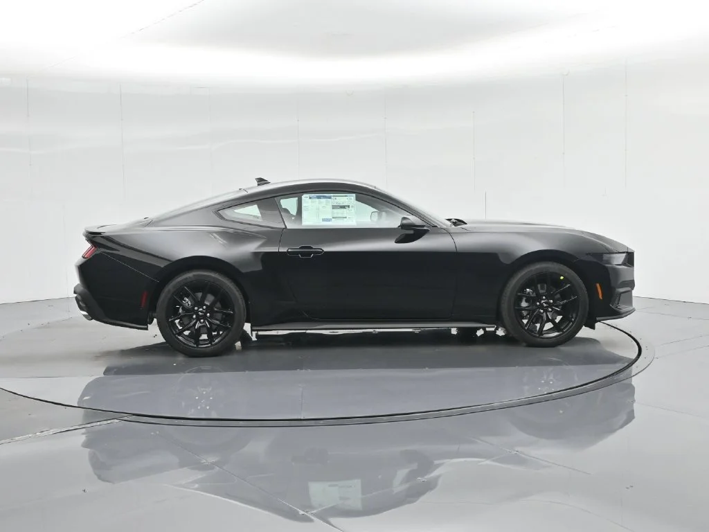 New 2026 Shadow Black Ford EcoBoost image 23