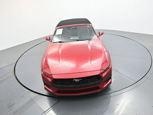 Used 2024 Red Ford EcoBoost Premium image 15