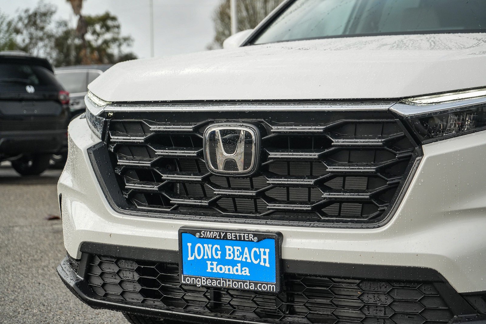 New 2027 Platinum White Pearl Honda LX image 5