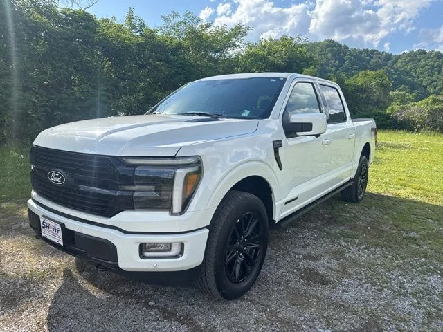 Used 2024 White Ford Platinum image 4