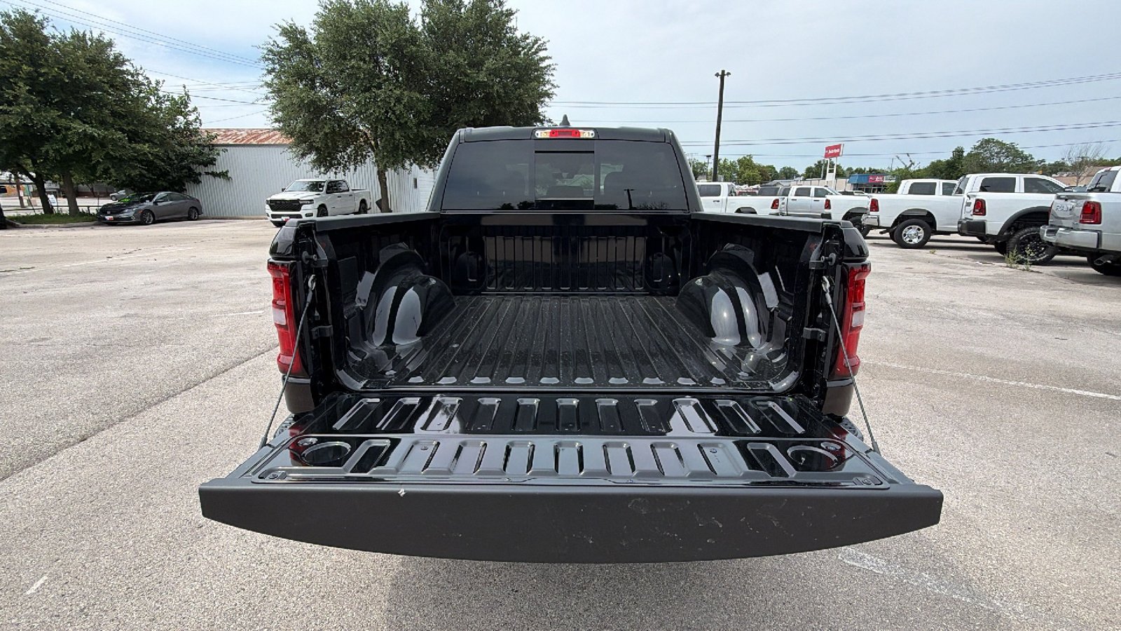 New 2026 Diamond Black Crystal Pearl-Coat Exterior Paint RAM Express image 23