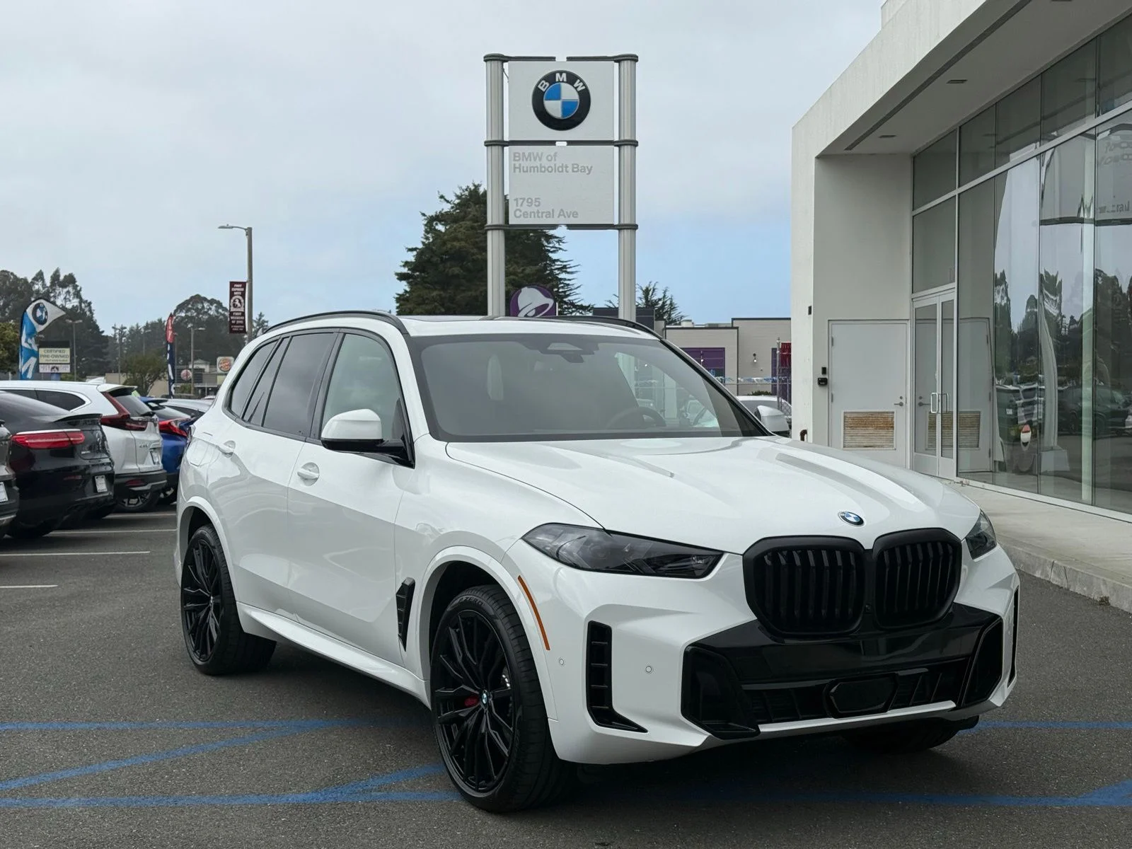 2026 BMW X5 xDrive40i's photo