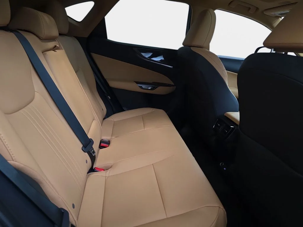 New 2026 Nori Green Pearl Lexus PREMIUM image 11