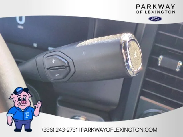 Used 2024 White Ford Platinum image 26