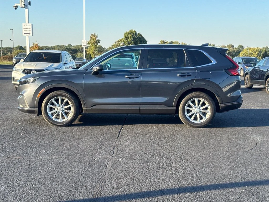 Used 2025 Gray Honda EX-L image 6