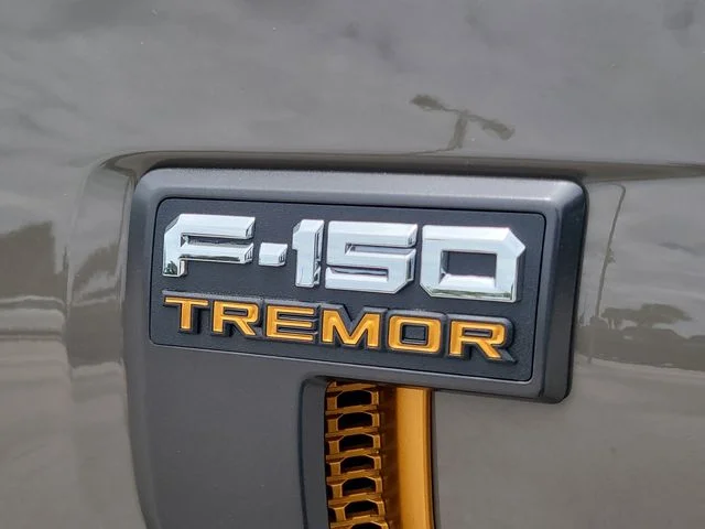 New 2026 Gray Ford Tremor image 9