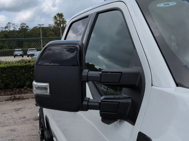 New 2026 White Ford Platinum image 12