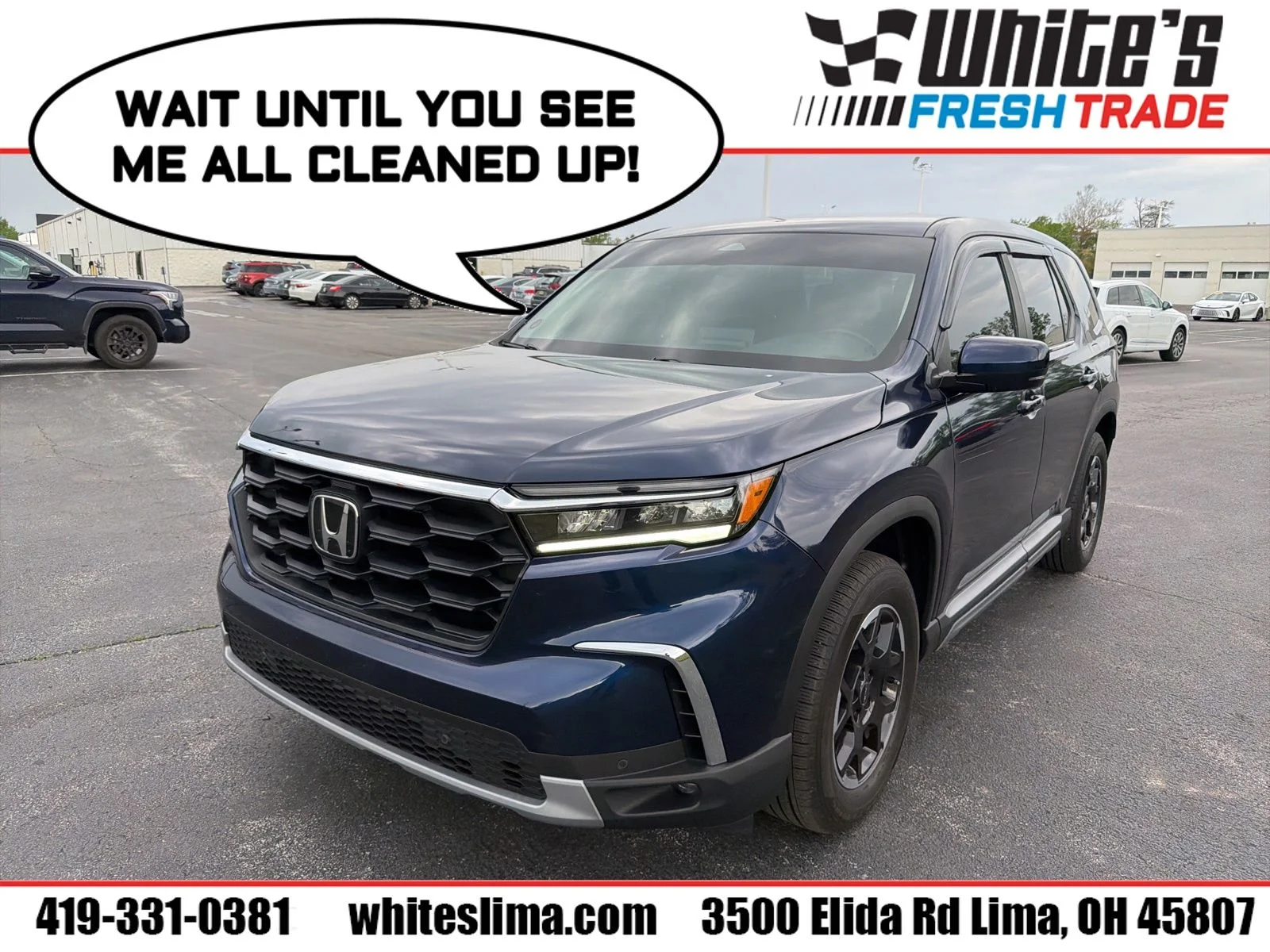 2025 Honda Pilot EX-L AWD's photo