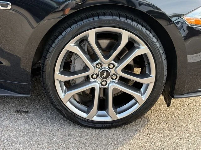 Used 2020 Black Ford GT Premium image 9