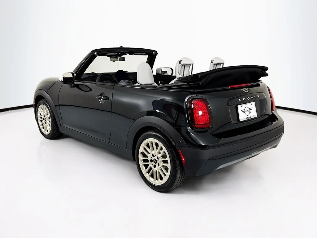 New 2026 Black MINI  image 7