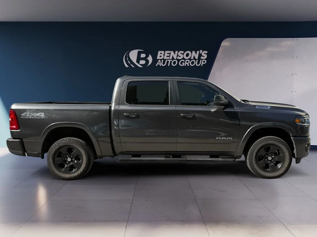 New 2026 Gray Ram Big Horn/Lone Star image 6